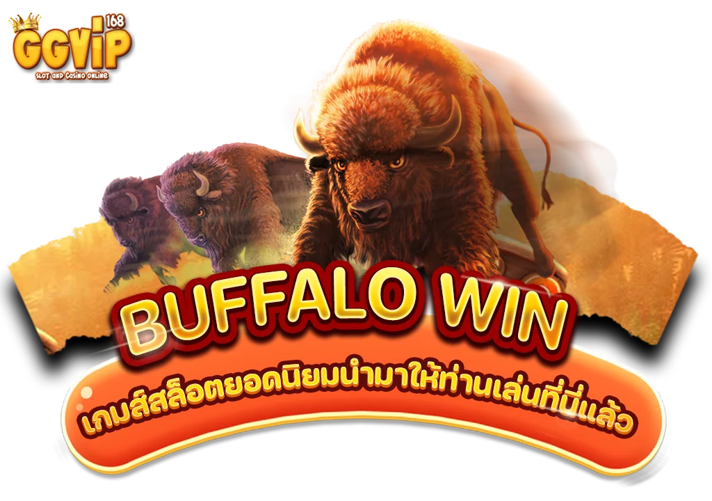 buffalo win